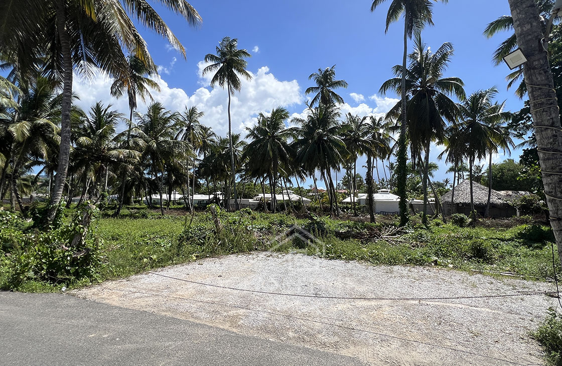 Last beachfront lot for tourism project on Popy beach-las-terrenas-ocean-edge-real-estate (32)