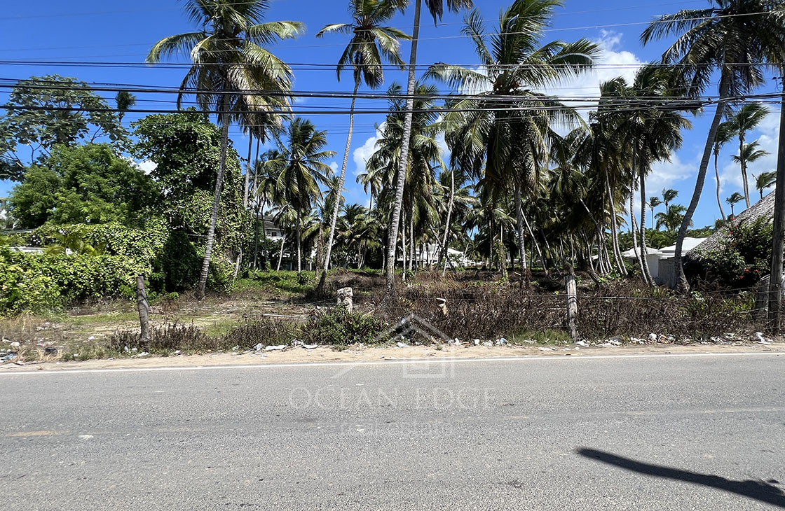 Last beachfront lot for tourism project on Popy beach-las-terrenas-ocean-edge-real-estate (44)