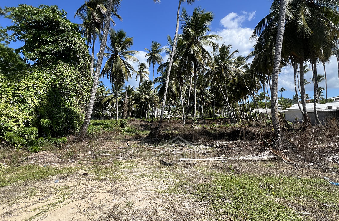 Last beachfront lot for tourism project on Popy beach-las-terrenas-ocean-edge-real-estate (52)