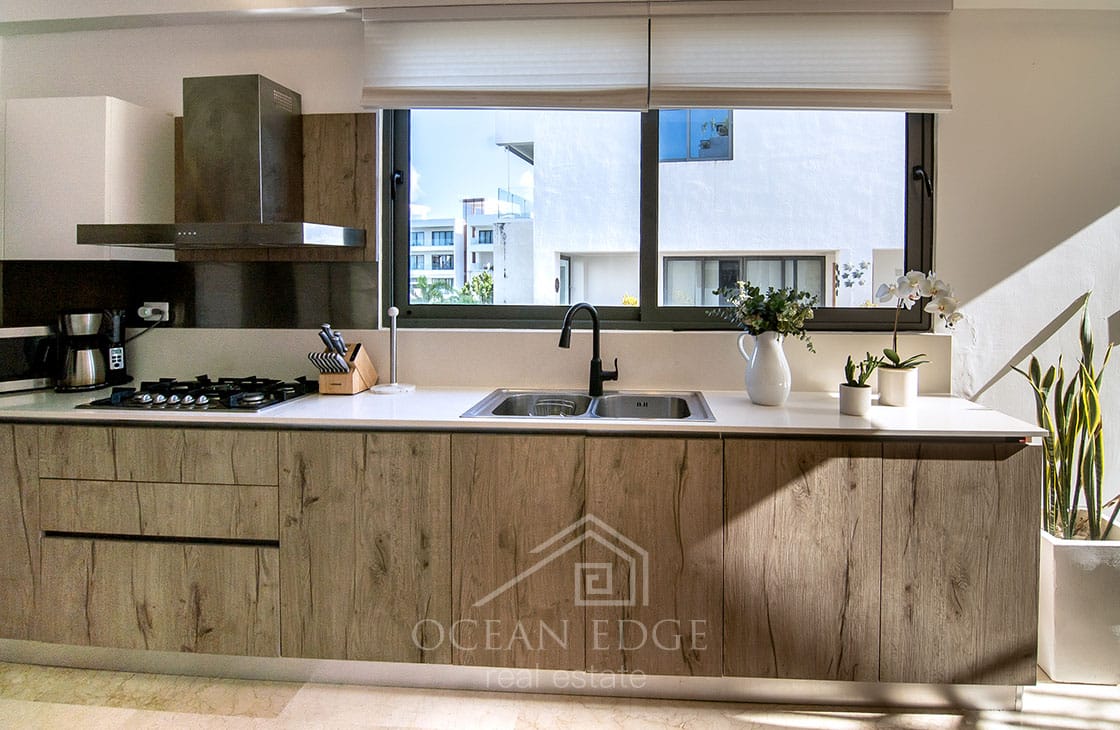 Ocean view 3-br Penthouse on Portillo beach-las-terrenas-ocean-edge-real-estate (10)
