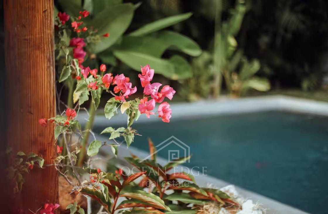 4-BR Villa Tropical Near Playa Las Ballenas-las-terrenas-ocean-edge-real-esate-11