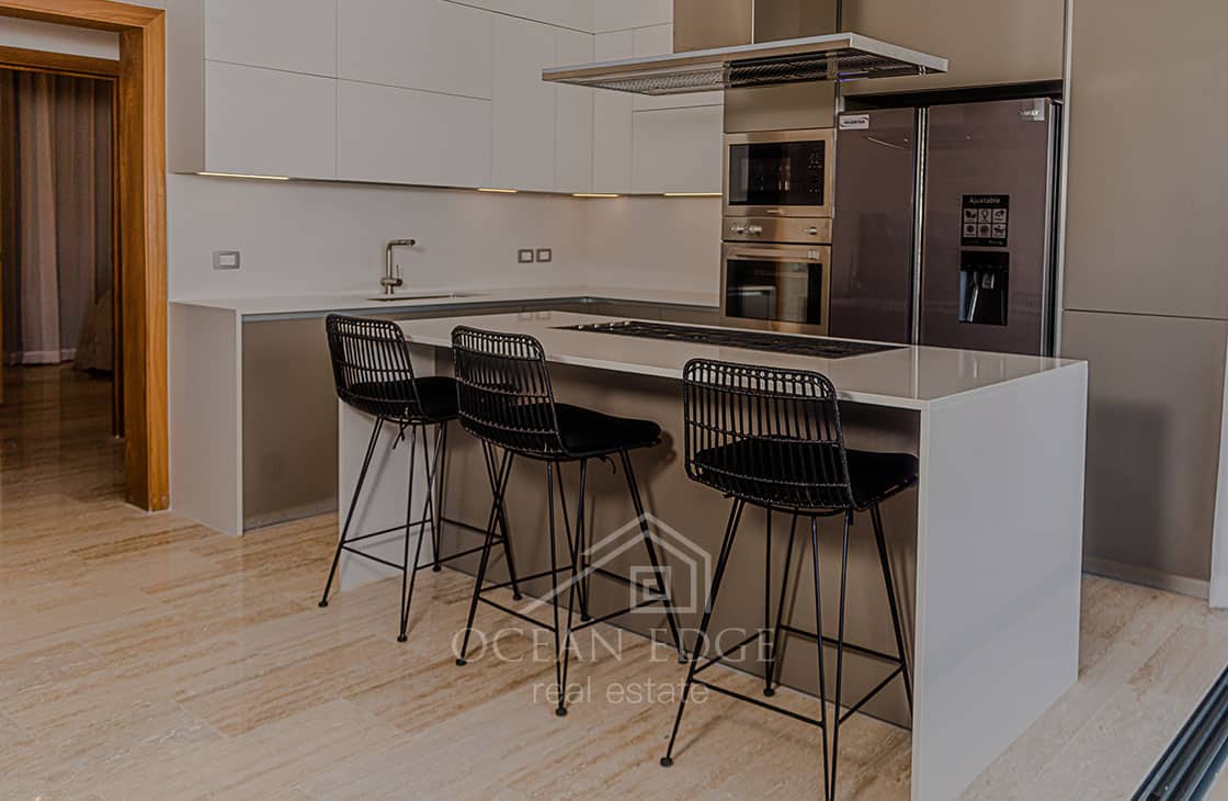 Fullly Furnished 4-bed Penthouse with private pool-las-terrenas-ocean-edge-real-estate (10)