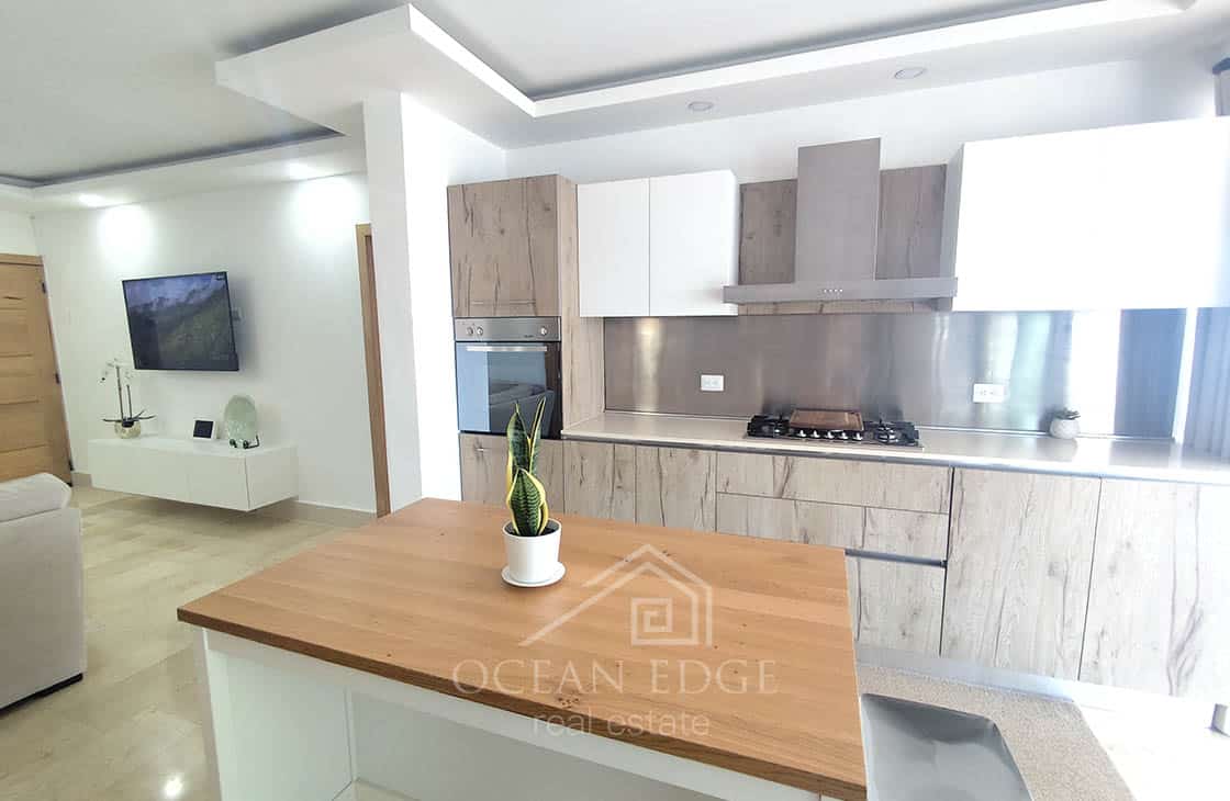 Spacious 2-br condo with large terrace on Portillo beach-las-terrenas-ocean-edge-real-estate (49)