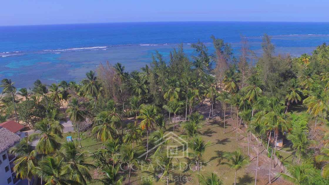 Last beachfront land for sale in Las Ballenas beach-Las-terrenas-ocean-edge-real-estate-drone (6)